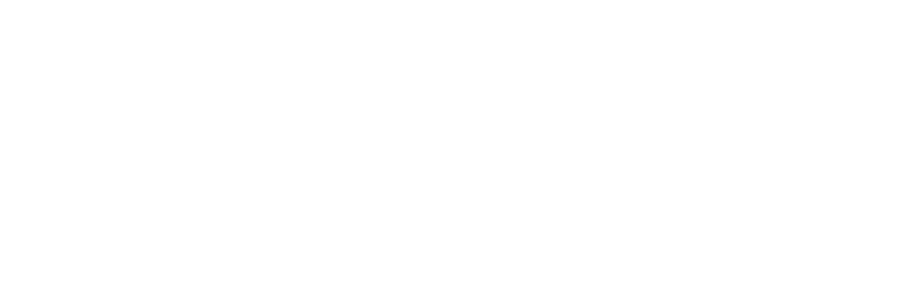 customeyes-homepage-Akoni-Logo-White